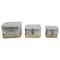 Hello Honey® Galvanized Metal Boxes with Lids & Brass Accents Set, 3ct.